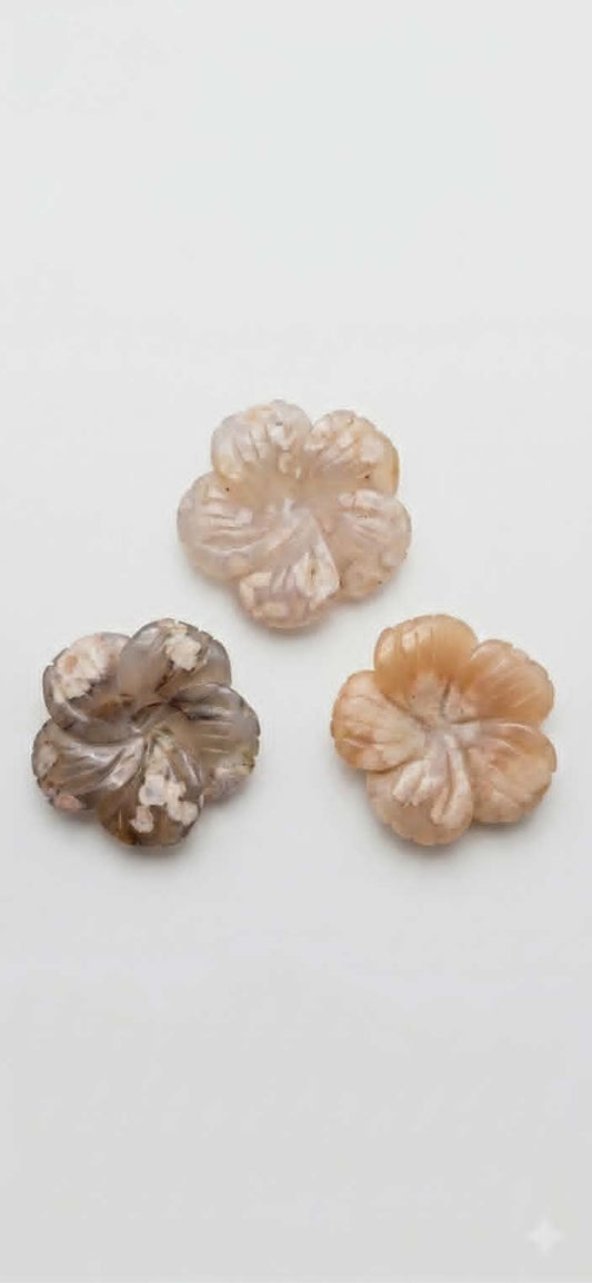 🌺✨Plumeria en Agate Fleurs – Douceur Tropicale 🌴 Harmonie Florale🌺