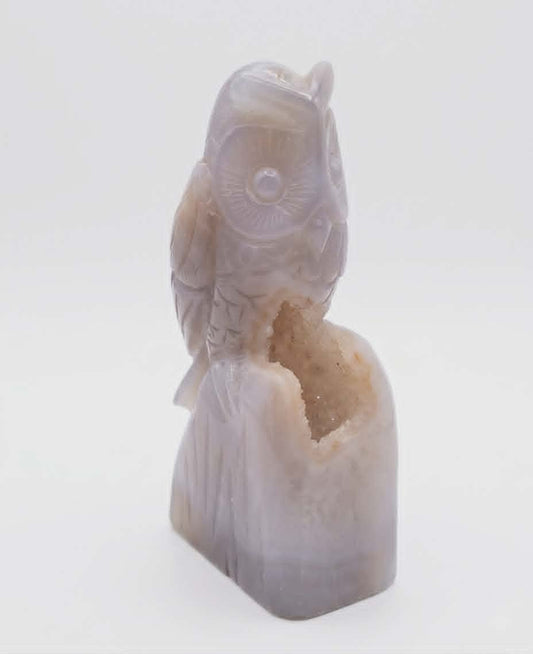 🦉✨Hibou en Agate Géode