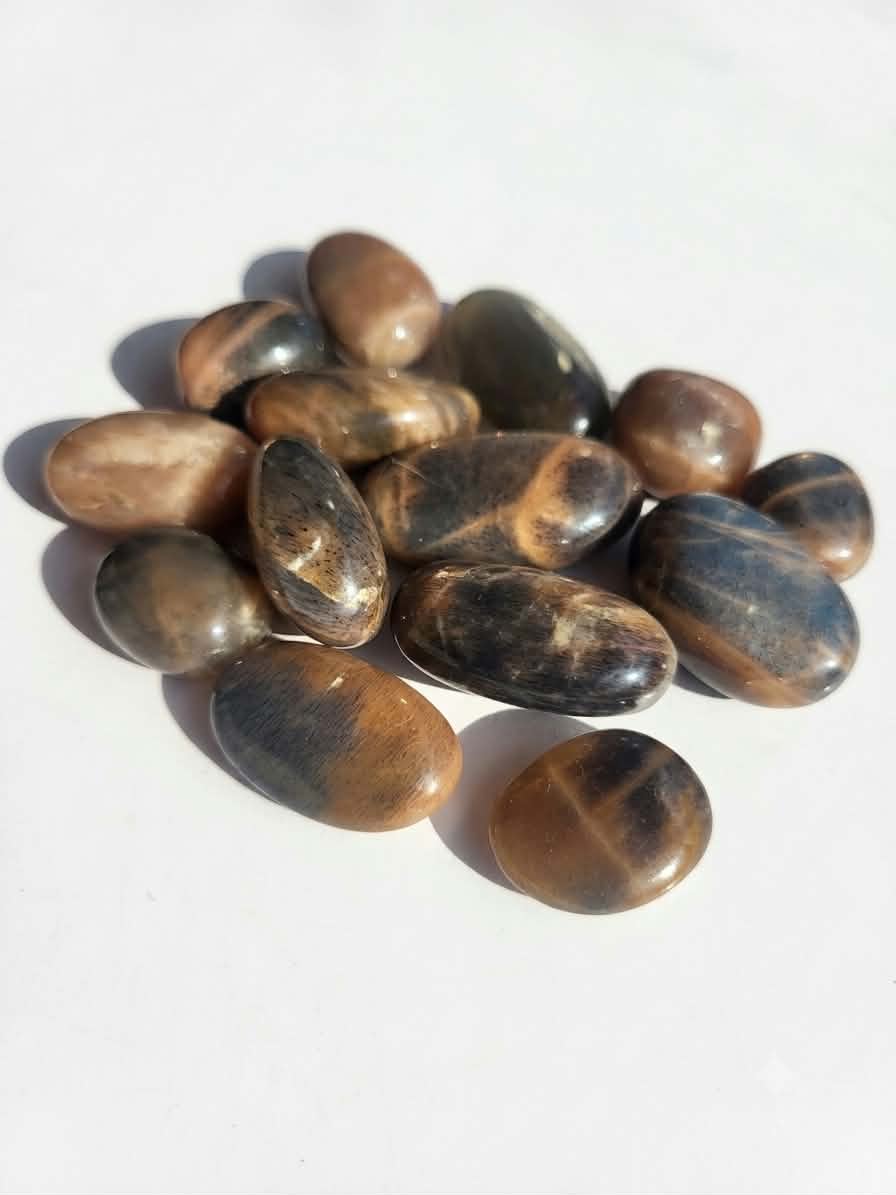 🌙🖤 Pierres de Lune Noires – Intuition, Protection & Mystère