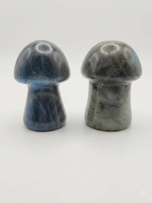 🍄 💙🌌 Champignons Labradorite – Reflets Magiques & Protection Intuitive