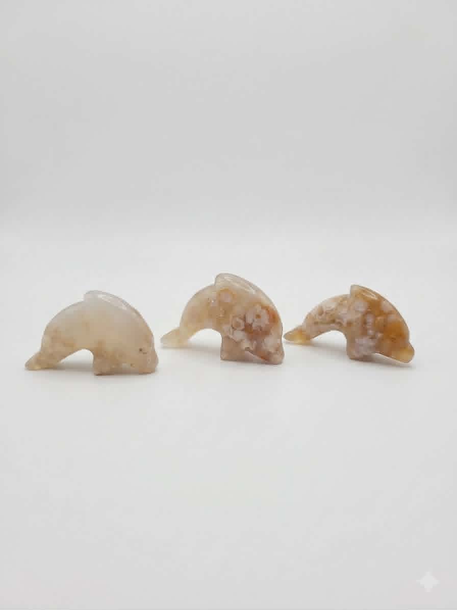 🌺🐬Dauphins d’Agate Fleurs – Vibration Florale & Magie Marine