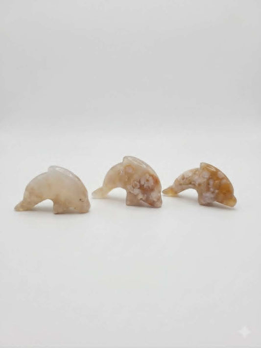 🌺🐬Dauphins d’Agate Fleurs – Vibration Florale & Magie Marine
